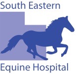 South Eastern Equine Hospital